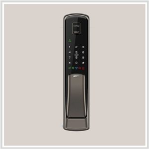 Khóa điện tử Hafele EL9500-TCS 912.05.353